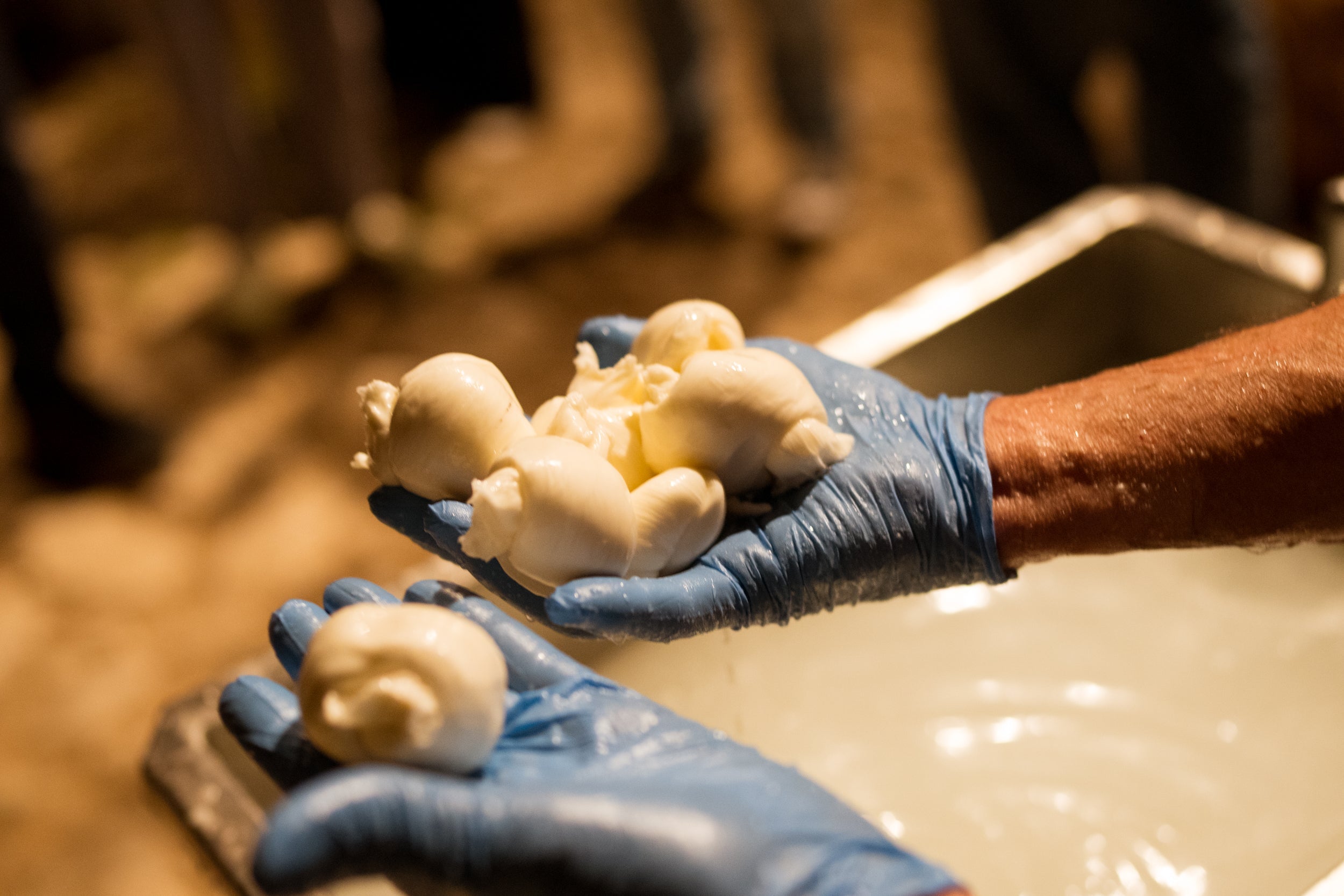 Tutti i nostri prodotti