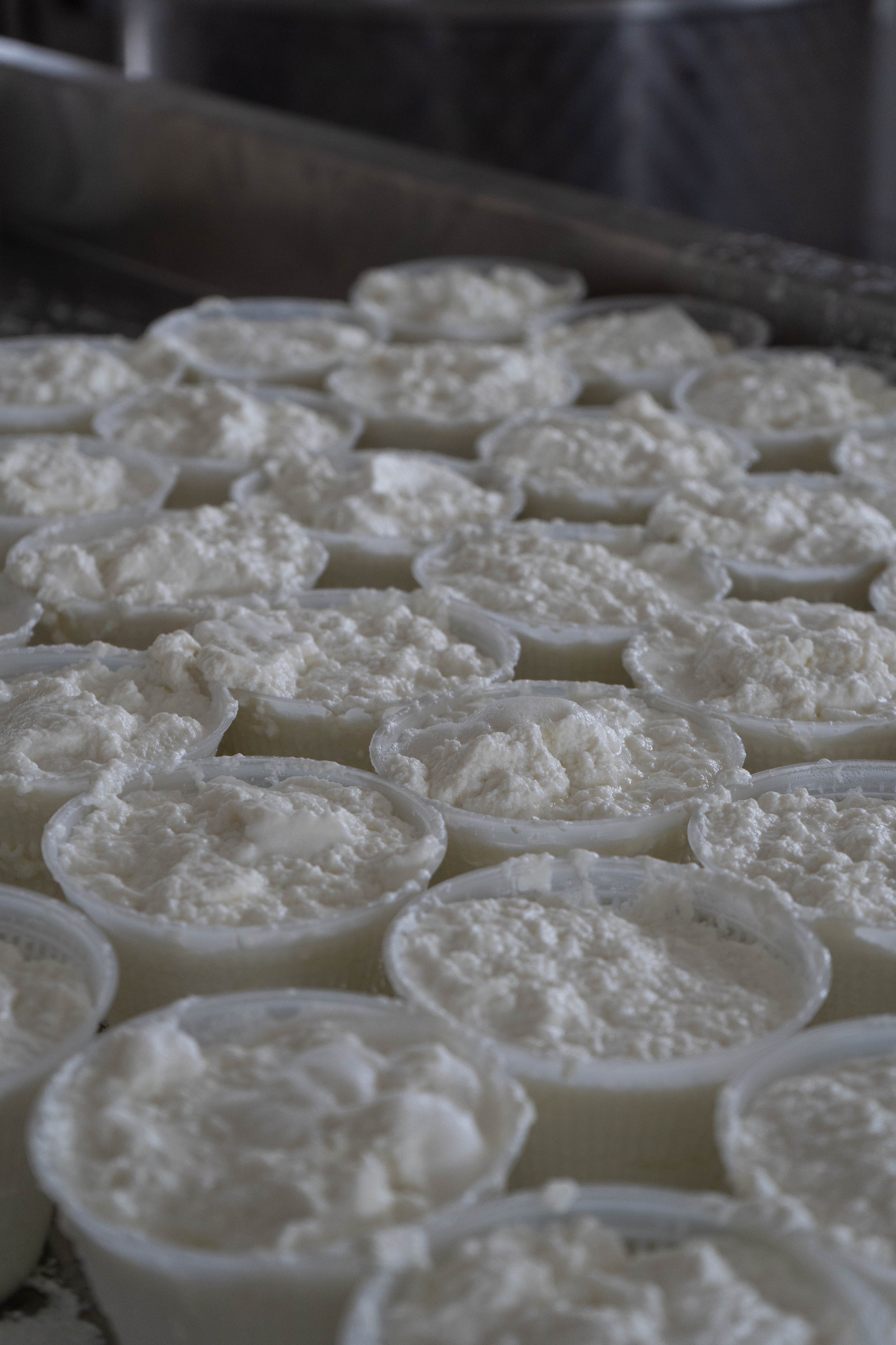 Prodotti senza lattosio